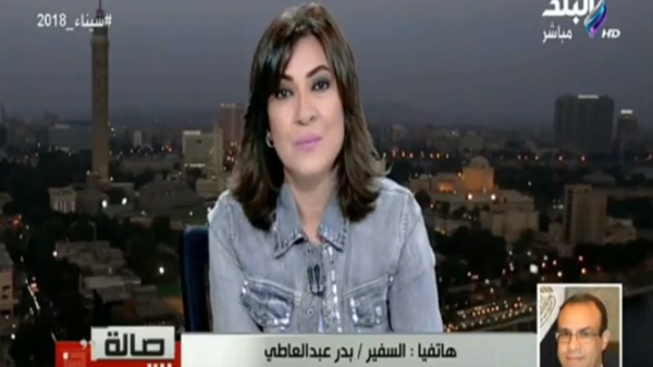 سفير مصر بألمانيا