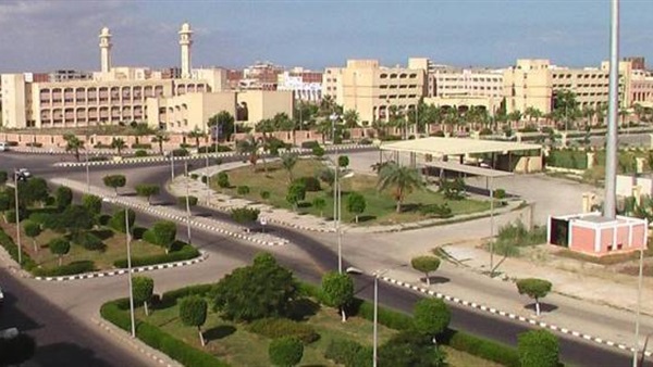 جامعة دمياط