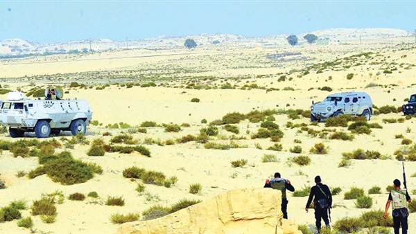 سيناء