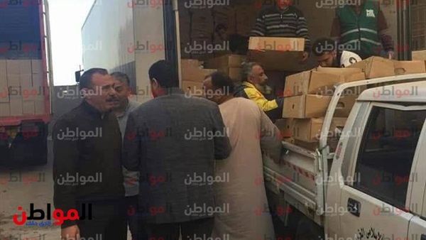 وكيل تضامن دمياط
