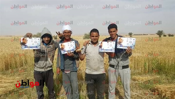 المواطن