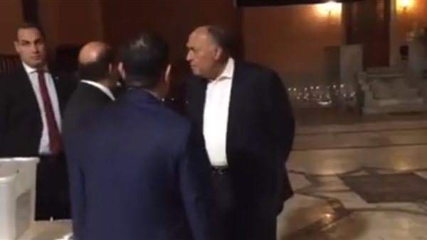 سامح شكري وزير الخارجية