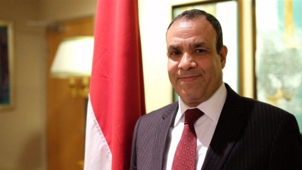 السفير بدر عبدالعاطى