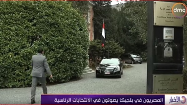 المصريون في بلجيكا