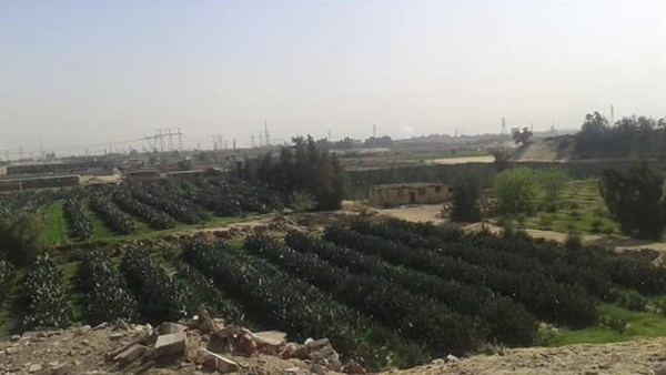المنطقة الصناعية-الخانكة