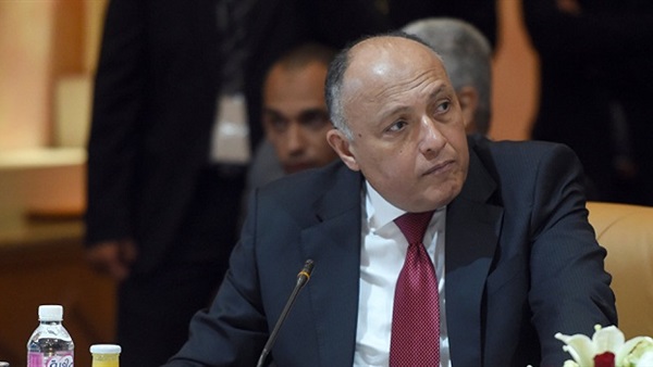 سامح شكري وزير الخارجية