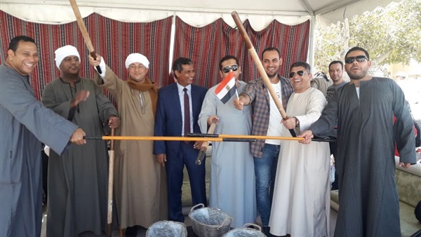 الصعايدة في الانتخابات