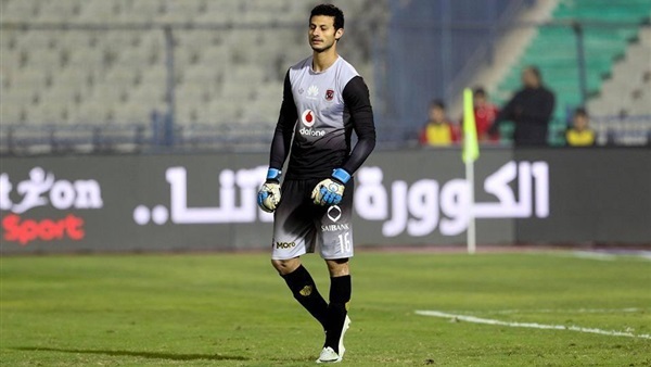 محمد الشناوي