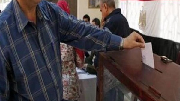 الجالية المصرية فى