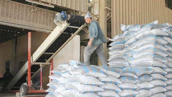 مصنع اعلاف بدون ترخيص