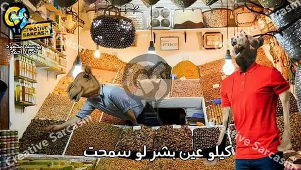كلام البني آدمين