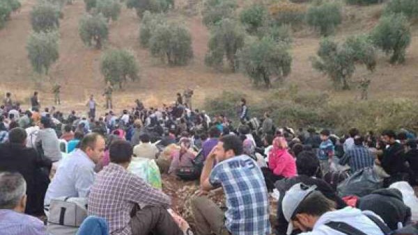 المدنيين فى عفرين