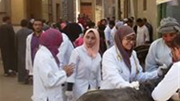 حملة بيطرية