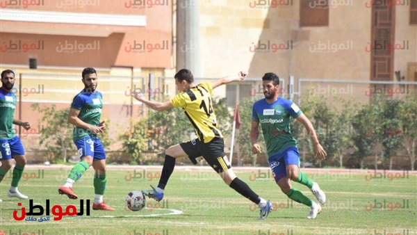المواطن