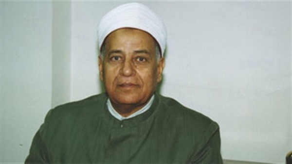 الدكتور محمود عاشور