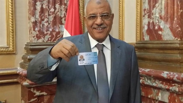 النائب سيد فراج