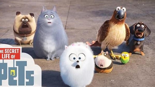 فيلم ذا سيكرت لايف
