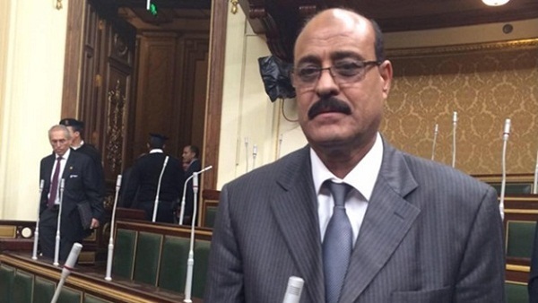 النائب صلاح عيسى