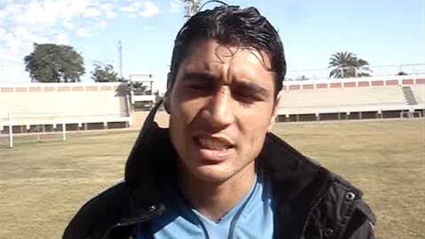 رضا السيد