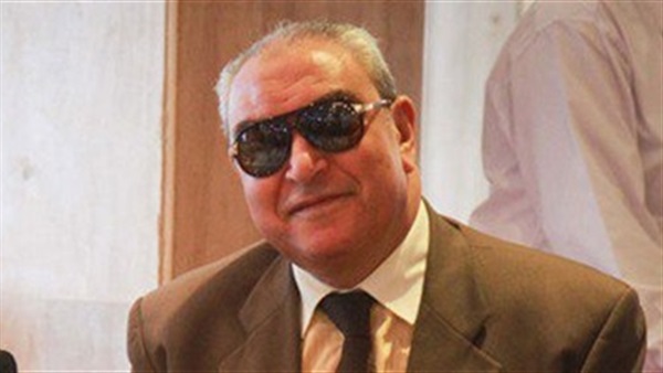 محافظ المنيا