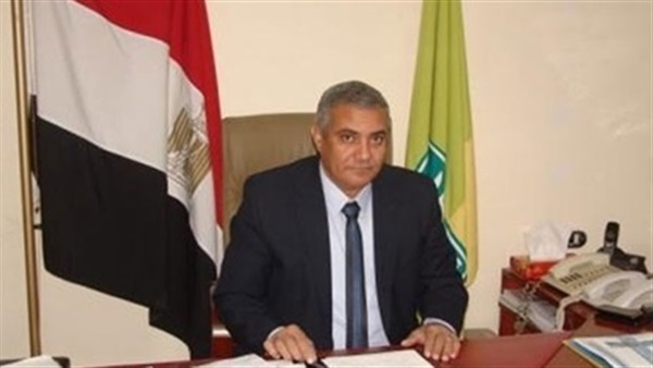 المهندس عصام بدوى