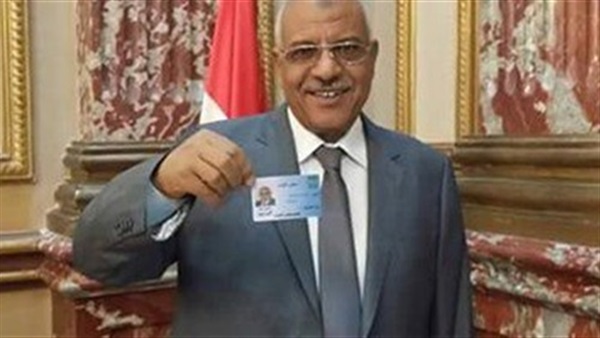 نائب الدائرة السيد