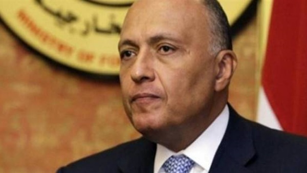 سامح شكري وزير الخارجية