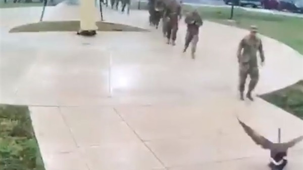 فيديو|وزة تجنن الجنود