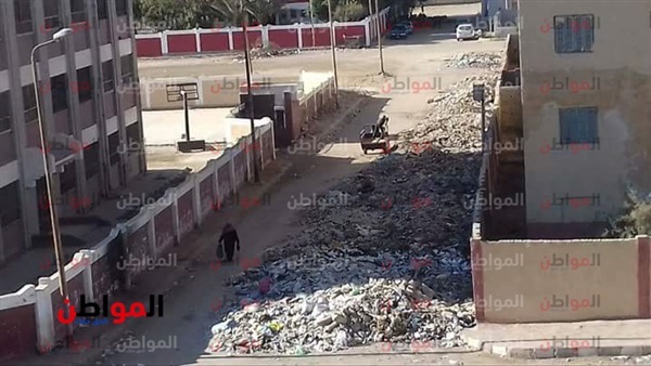 حملات إزالة بالسويس