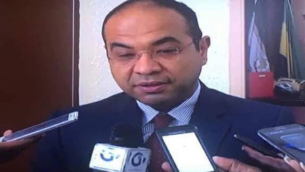 سفير مصر بالجابون