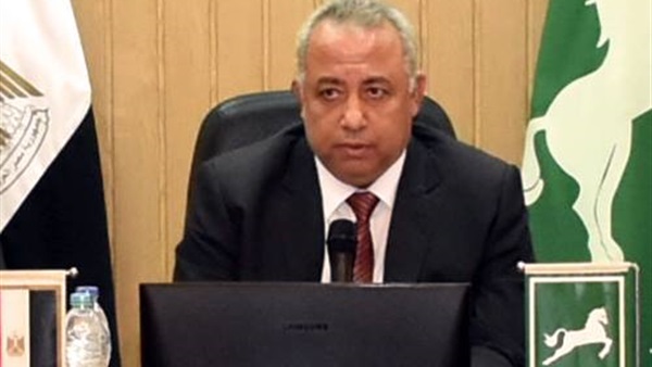 محافظ الشرقية