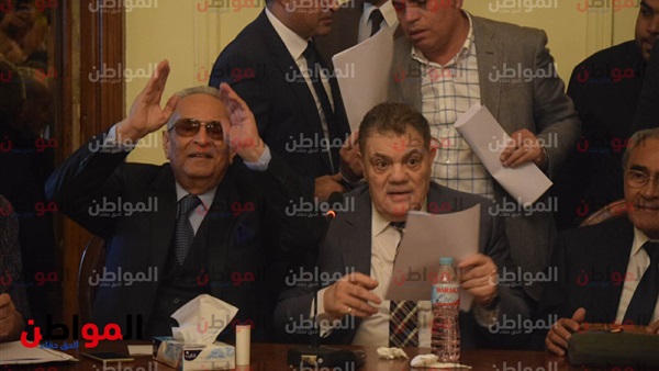 المستشار بهاء أبو