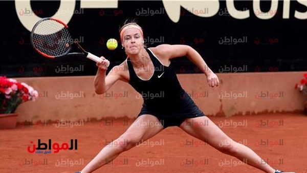 المواطن