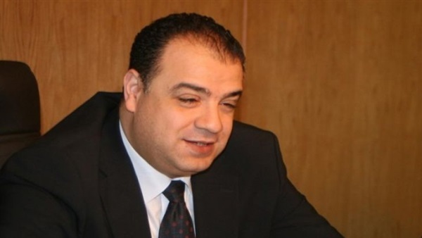الدكتور السيد عبدالستار