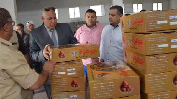 محافظ الوادي الجديد