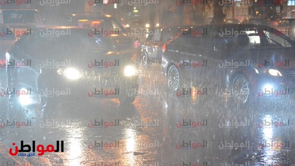المواطن