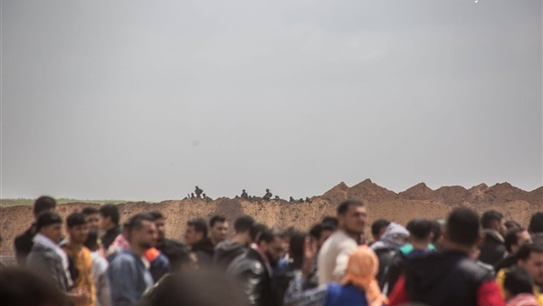 المواطن