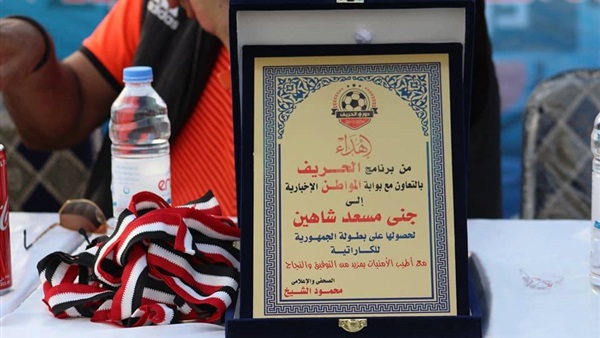 صورة من الدرع