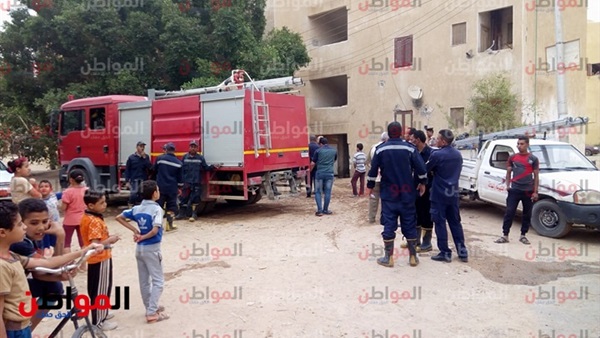 المواطن