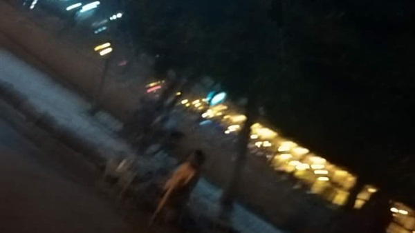 صورة السيدة