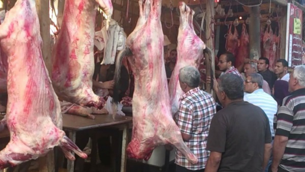 أشرف عنتر
