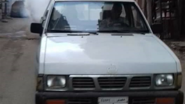 مكافحة البعوض بالمنصورة