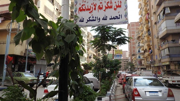 شارع المورينجا