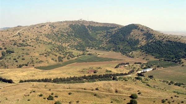 أرشيفية