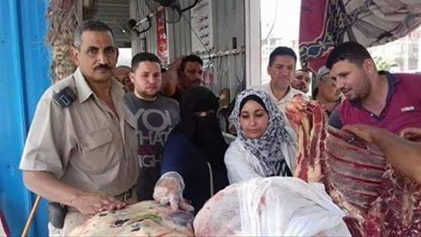 الحملات