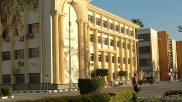 جامعة المنصورة