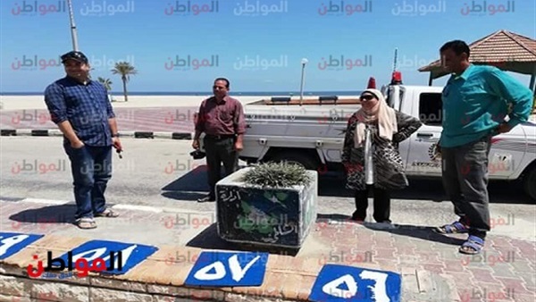 مدينة جمصة