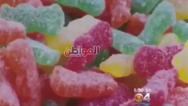 المواطن