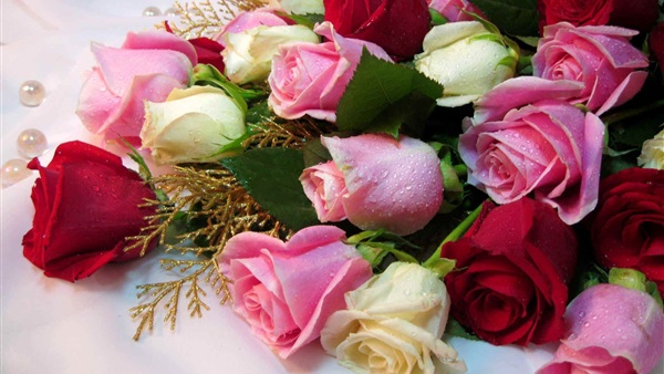 أسعار الورود