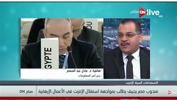 عادل عبد المنعم خبير